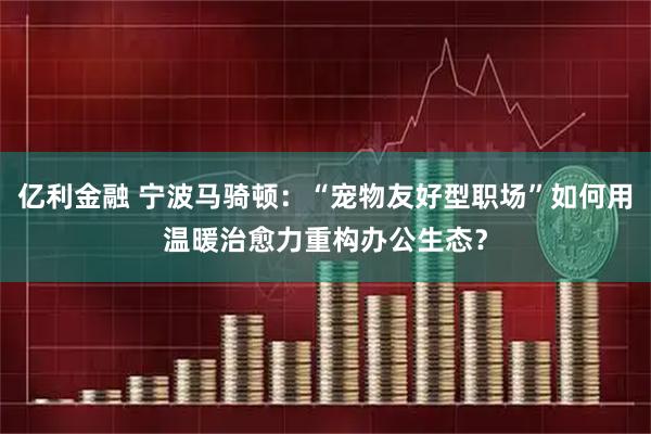 亿利金融 宁波马骑顿：“宠物友好型职场”如何用温暖治愈力重构办公生态？