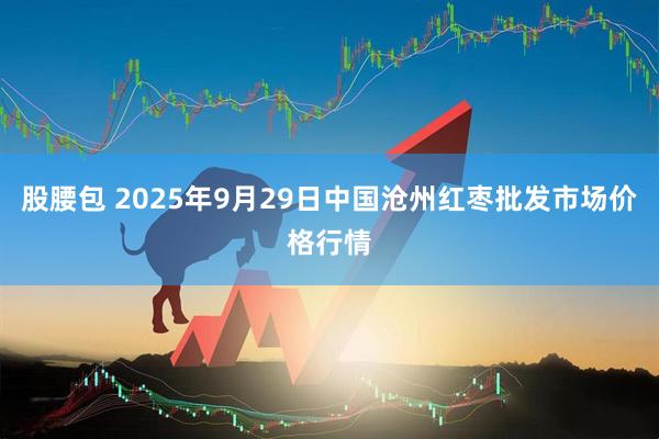 股腰包 2025年9月29日中国沧州红枣批发市场价格行情