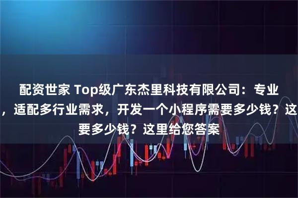 配资世家 Top级广东杰里科技有限公司：专业小程序开发，适配多行业需求，开发一个小程序需要多少钱？这里给您答案