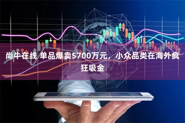 尚牛在线 单品爆卖5700万元，小众品类在海外疯狂吸金