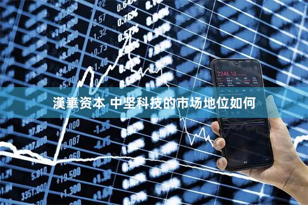 漢崋资本 中坚科技的市场地位如何